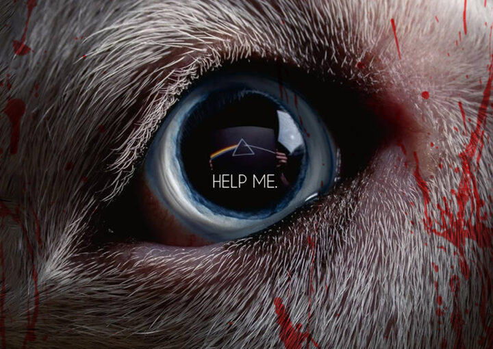 Pourquoi "The Dark Side Of The Moon Redux" de Roger Waters m'emmerde